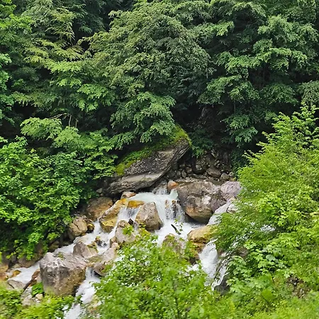 Kafe Pojana Tropoje